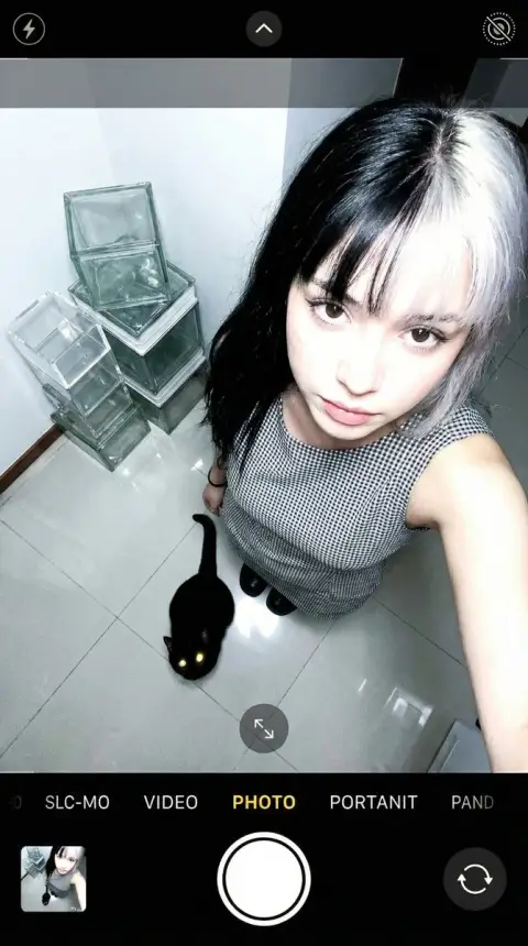 A young girl interacting with a black cat from an overhead shot
