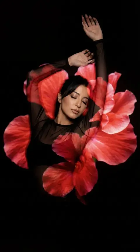 Crimson flower shadow projection: smart and beautiful dance in the dark night