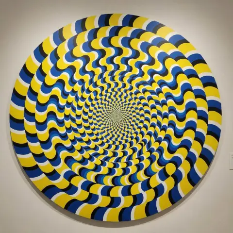 Dizzying optical illusion of spinning motion