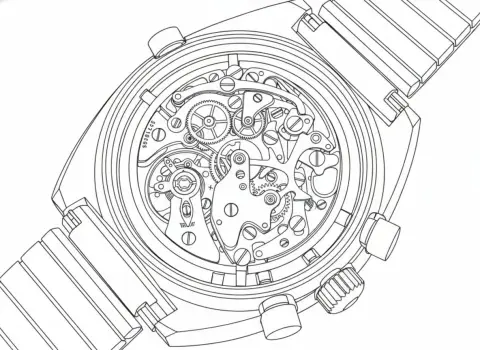 Exquisite and delicate black and white line drawing art style