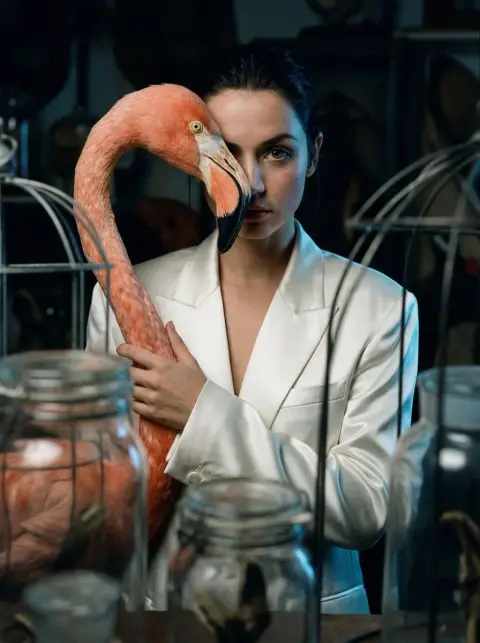 Flamingo half-face hallucination in dark herbarium