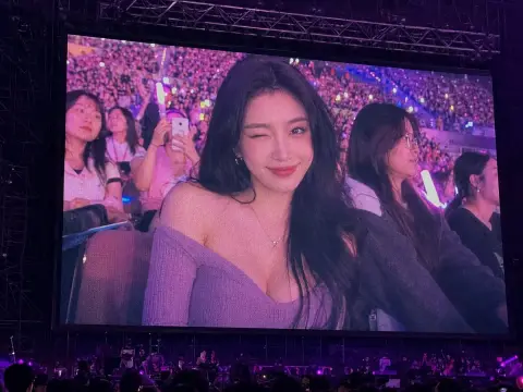 Immersive concert large-screen fan images