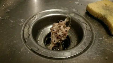 Ordinary life moments that are horrifying to contemplate