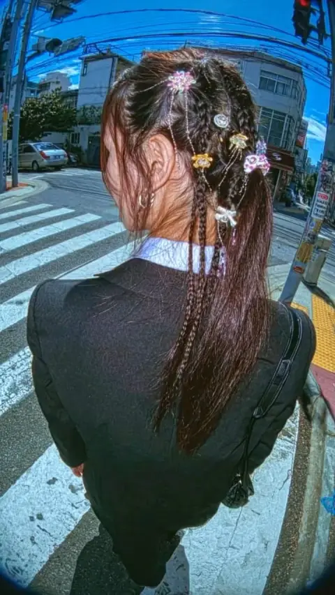 The Devil wears Hair Clip
