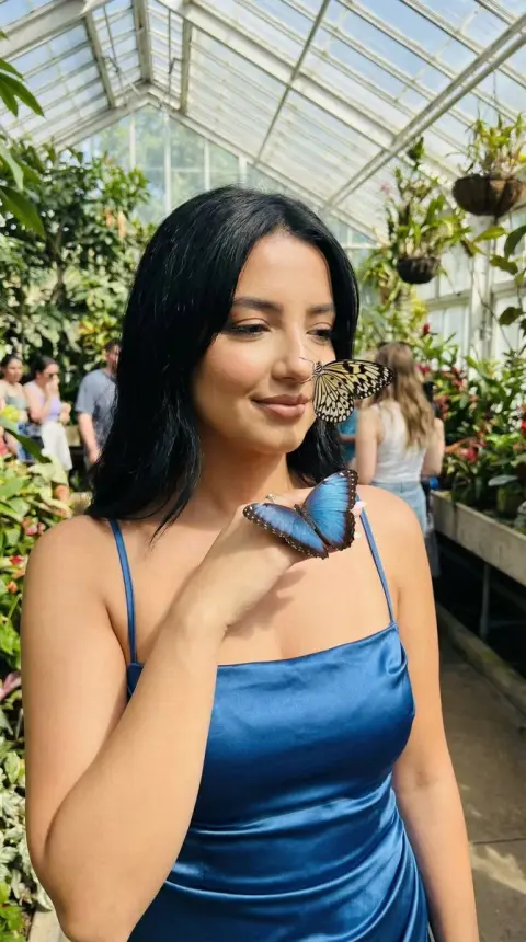 The dreamy encounter between the blue silk girl and the greenhouse butterfly