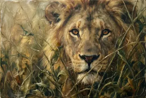 The mysterious lion lurking deep in the jungle