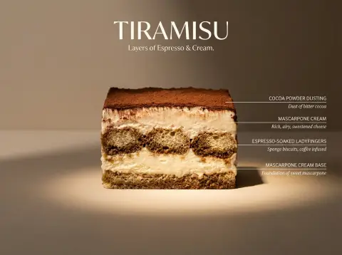 Tiramisu geological profile
