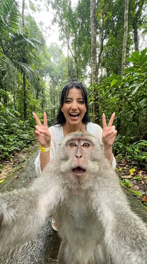 Tropical jungle macaque takes hilarious, scene-stealing wide-angle selfie