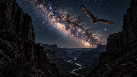 The Canyon at 3AM