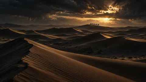 The Desert Remembers the Wind