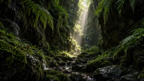 Light Falls in Green