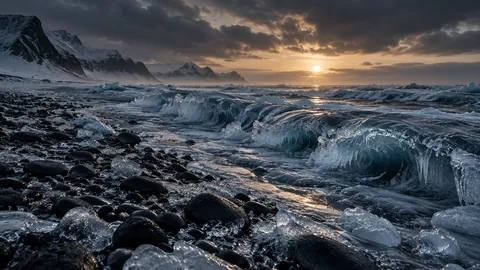 The Shore Winter Stole