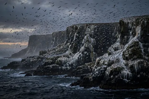 White Cliffs at Dusk