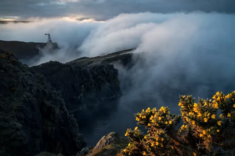 Sea Haar at Dawn