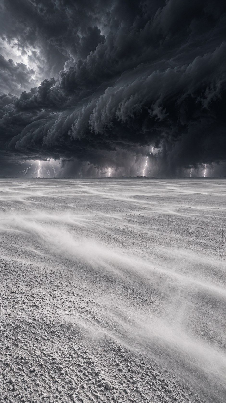 White Ground, Black Sky