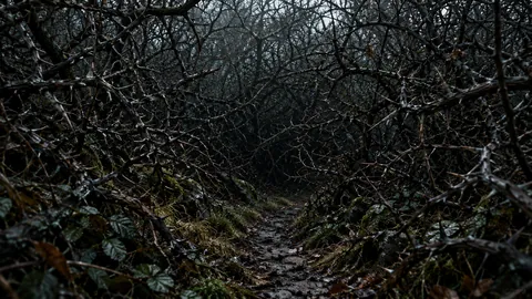 The Thicket That Bites