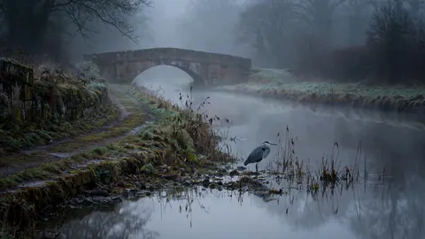 Mist on the Towpath